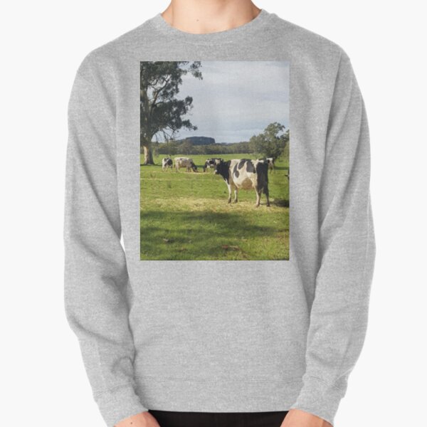 Holstein Friesians - Dairy Cows by Avril Thomas Pullover Sweatshirt