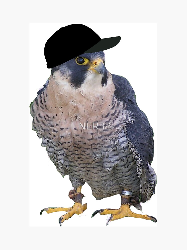 A Falcon With a Cap on Its Head Magnet