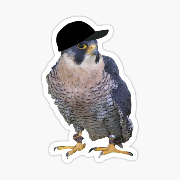 Falcon Head Stickers for Sale