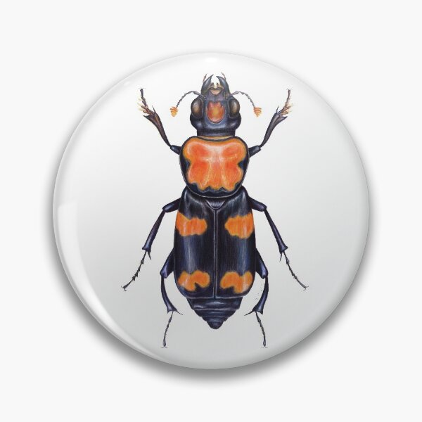 Item preview, American Burying Beetle designed and sold by Tamara Clark.