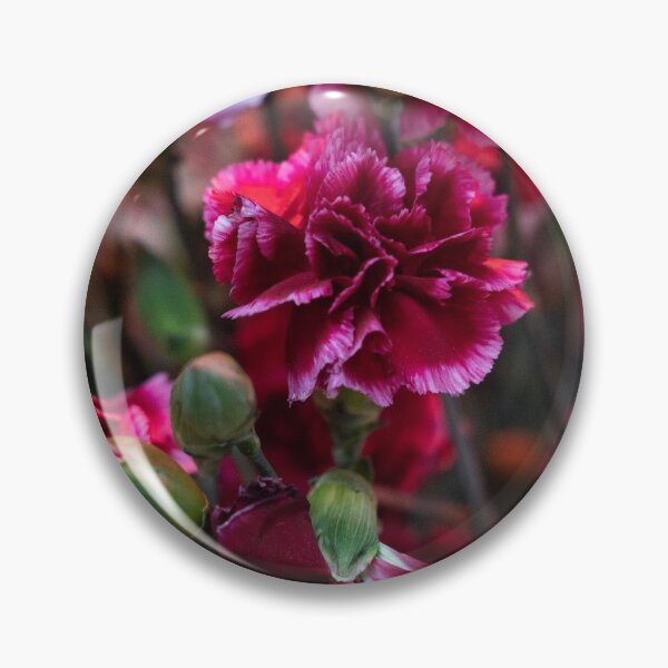 Item preview, Carnations designed and sold by hippynic.