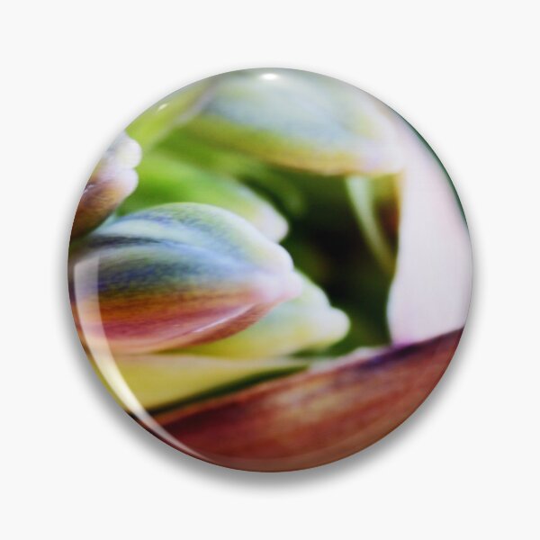 Item preview, Agapanthus Emerging designed and sold by Evita.