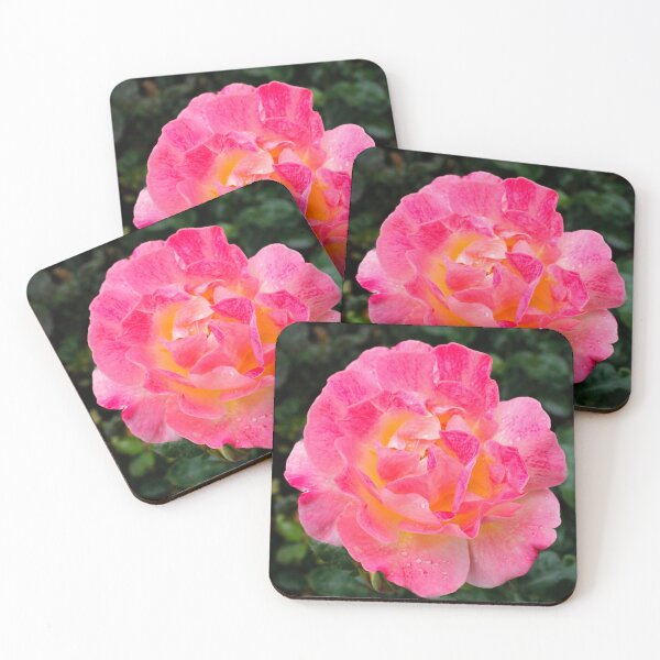 Item preview, A rose in full bloom designed and sold by jwwallace.