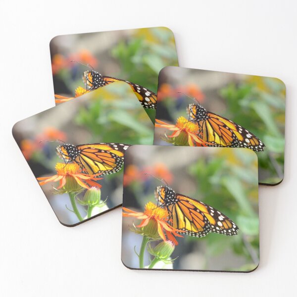 Aperçu de l'œuvre Monarque Butterlyflower créée et vendue par itsvalrinfret.