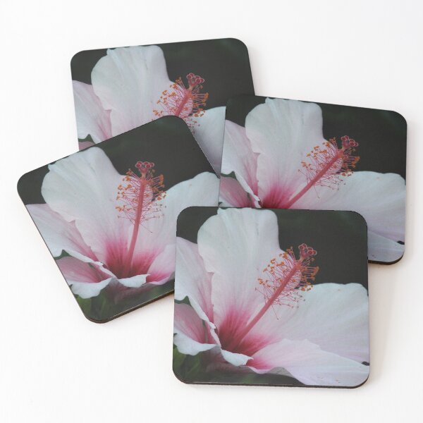 Item preview, Pink Hibiscus designed and sold by John Maciel.