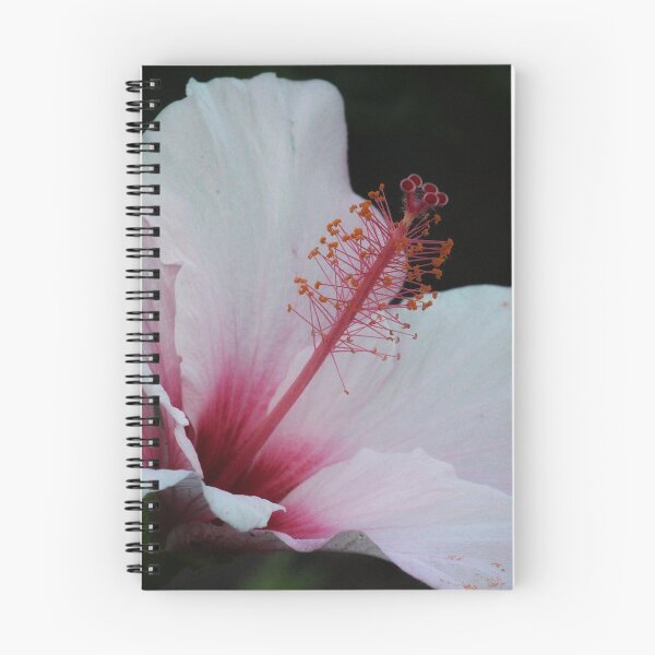 Item preview, Pink Hibiscus designed and sold by John Maciel.