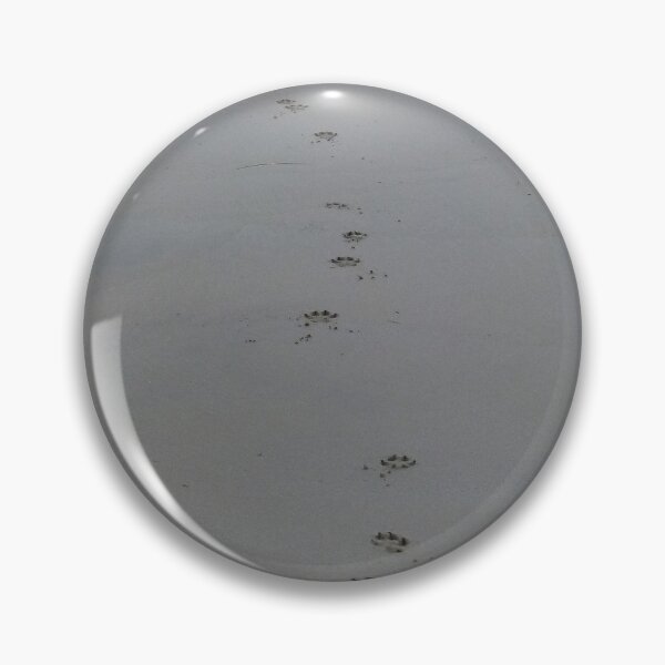 Item preview, The case of the disappearing dog .... designed and sold by Trish Meyer.