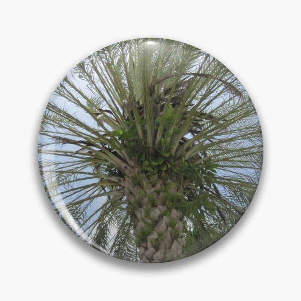 Item preview, Looking Up designed and sold by rosiebrown.