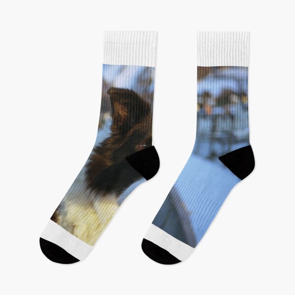 Artikelvorschau, Segne ihn. entworfen und verkauft von Michael Haslam.