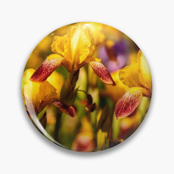Item preview, Bearded Irises designed and sold by LudaNayvelt.