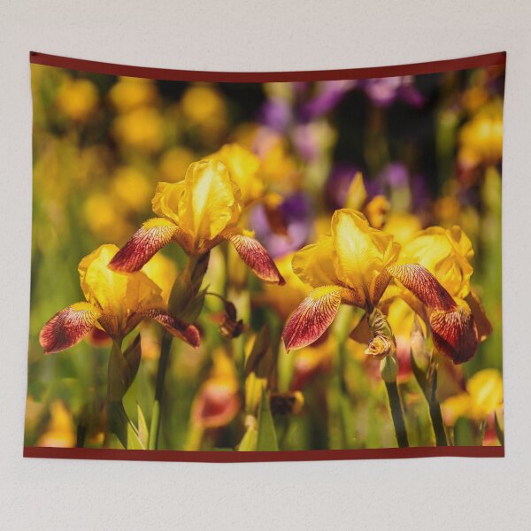 Item preview, Bearded Irises designed and sold by LudaNayvelt.