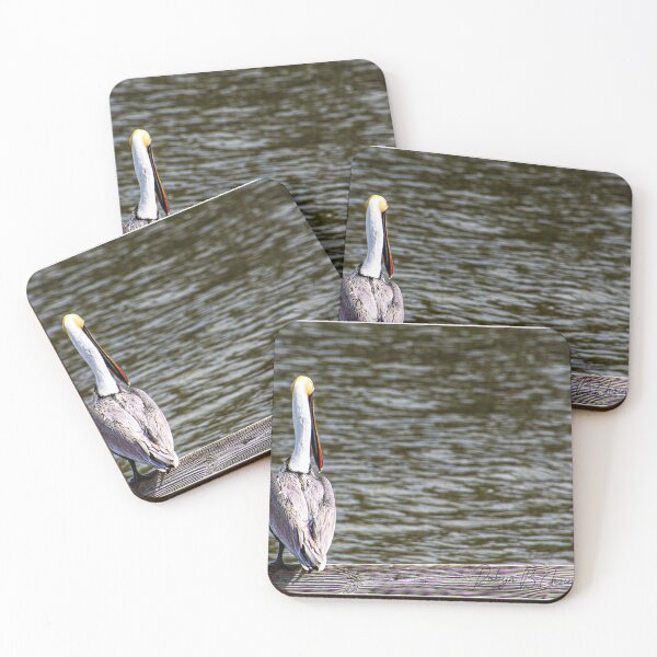 Item preview, Pelican 13 designed and sold by Just My Nature Photography.