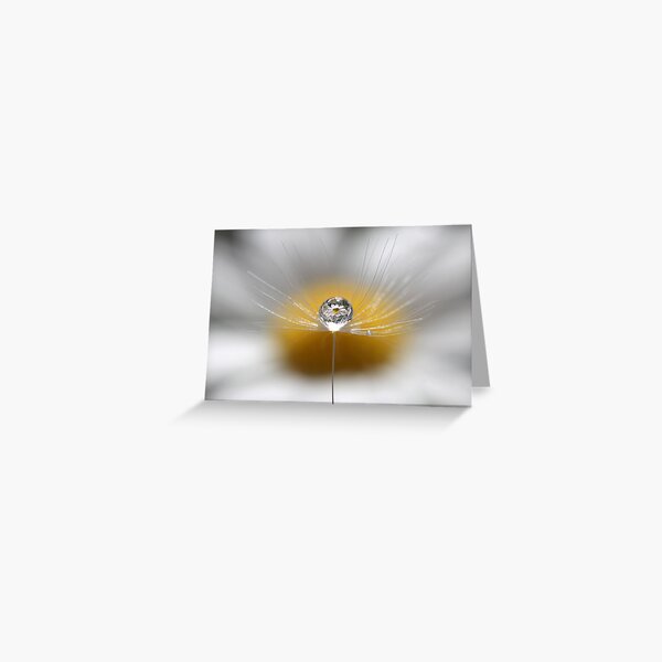 A drop full of daisies Greeting Card