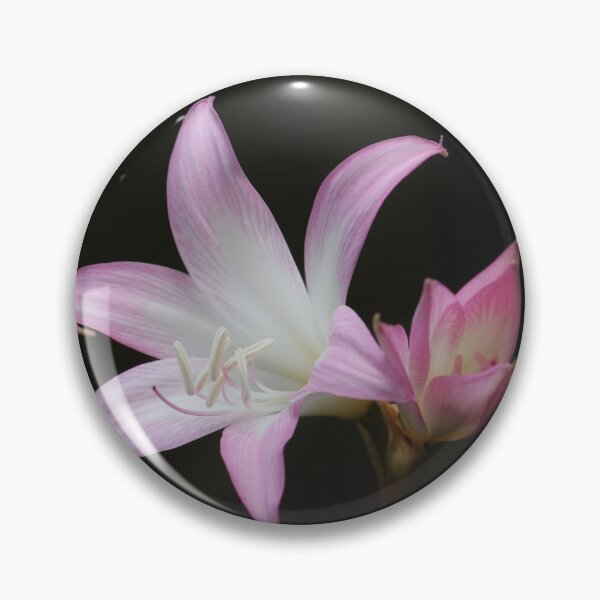 Item preview, Pink Daylily designed and sold by John Maciel.