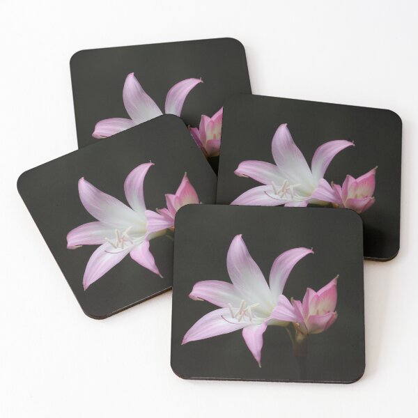Item preview, Pink Daylily designed and sold by John Maciel.