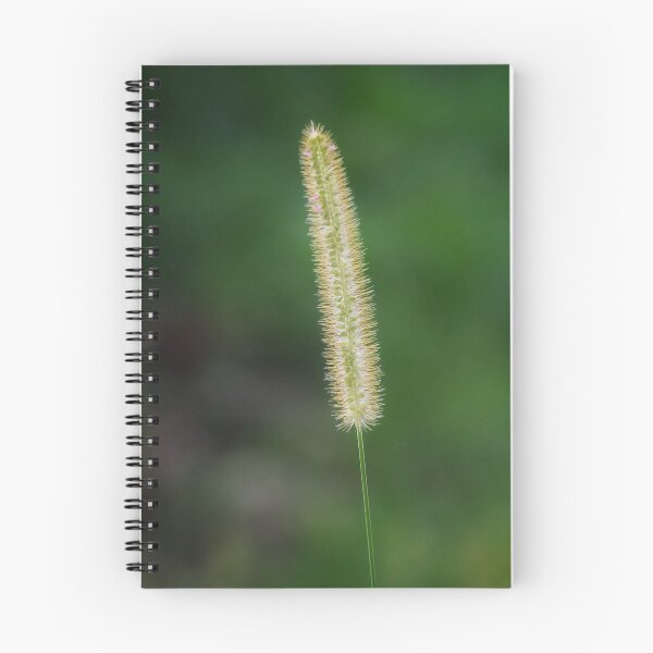 Item preview, Gold tipped foxtail designed and sold by John Maciel.