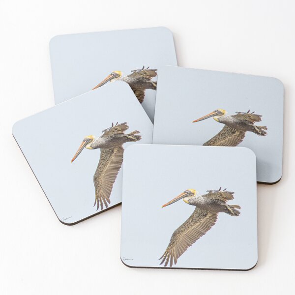 Item preview, Pelican 16 designed and sold by Just My Nature Photography.