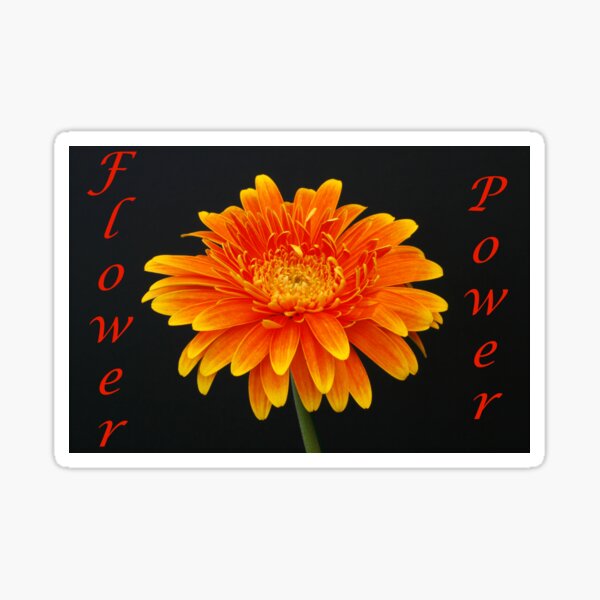Flower Power Sticker