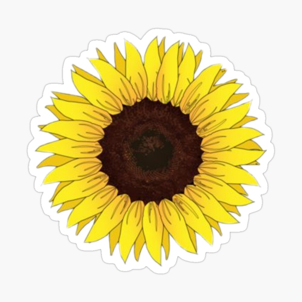 sunflower vsco cute and simple poster by alexjanelively redbubble