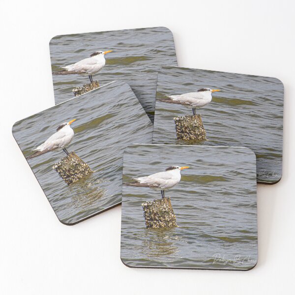 Item preview, Misc birds 3 designed and sold by Just My Nature Photography.