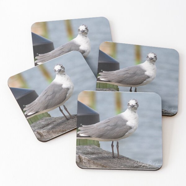 Item preview, seagull 12 designed and sold by Just My Nature Photography.