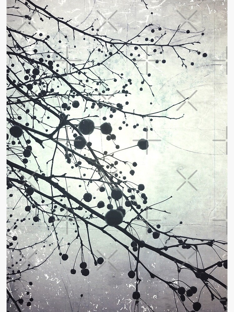 Thumbnail 3 of 3, Journal, Silver Sky Photo Art - Bare Tree in Winter - Black and White Nature Art designed and sold by OneDayArt.
