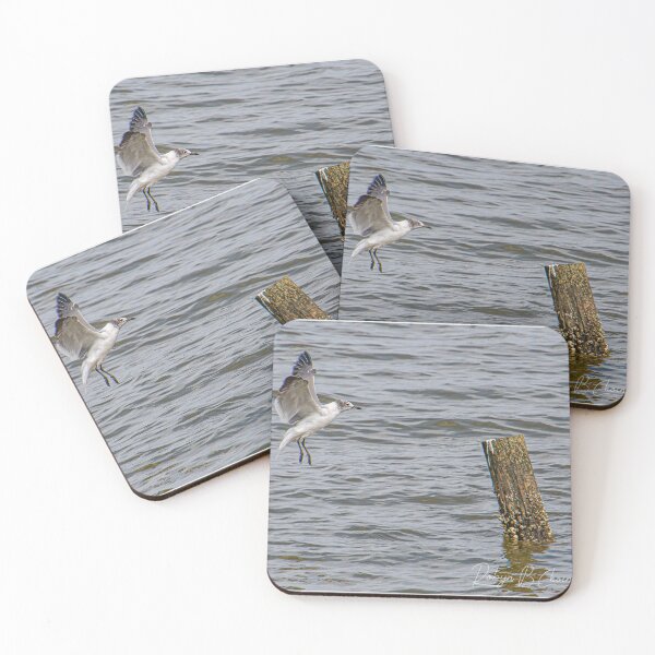 Item preview, Seagull 13 designed and sold by Just My Nature Photography.