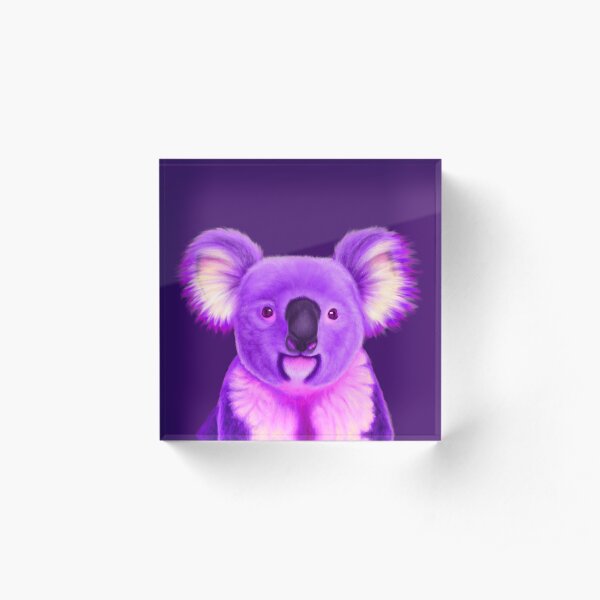 Koala morada Bloque acrílico