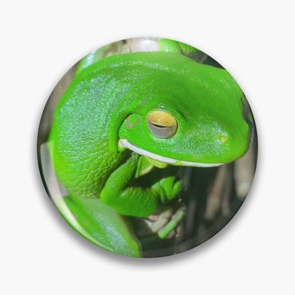 Item preview, Green Tree Frog designed and sold by justpurple.