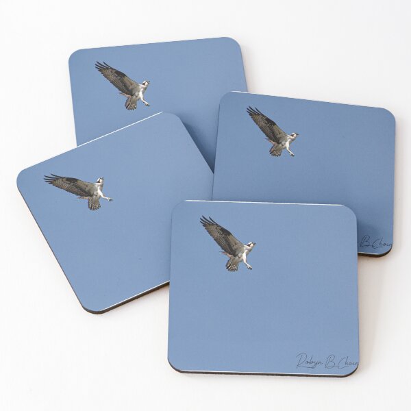 Item preview, Osprey 24 designed and sold by Just My Nature Photography.
