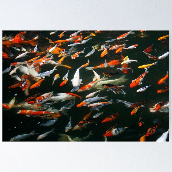 Item preview, Fish Frenzy designed and sold by jwwallace.