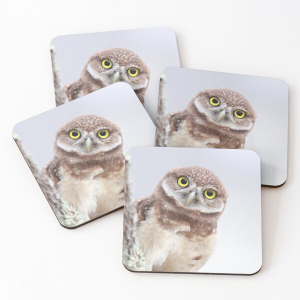 Item preview, Shocked Owlet designed and sold by mlorenz.