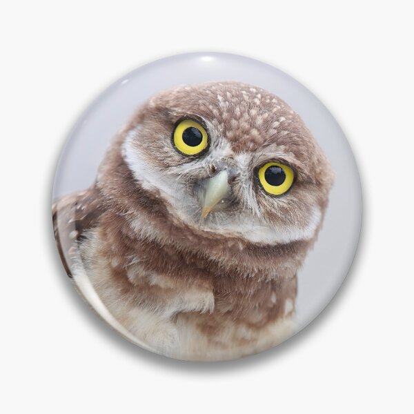 Item preview, Shocked Owlet designed and sold by mlorenz.