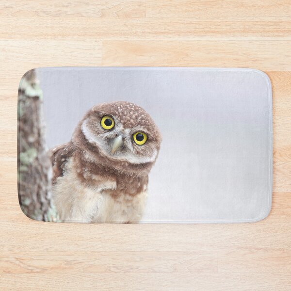 Item preview, Shocked Owlet designed and sold by mlorenz.