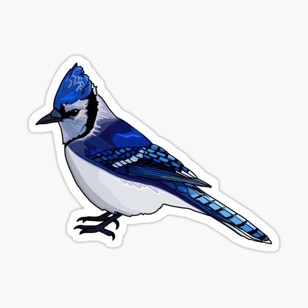 Item preview, Hello Blue Jay designed and sold by Malamootpoint.