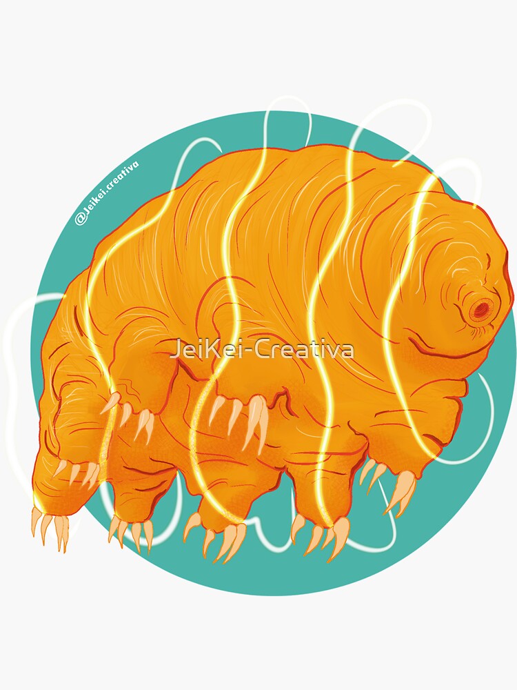 "Water bear" Sticker for Sale by JeiKeiCreativa Redbubble