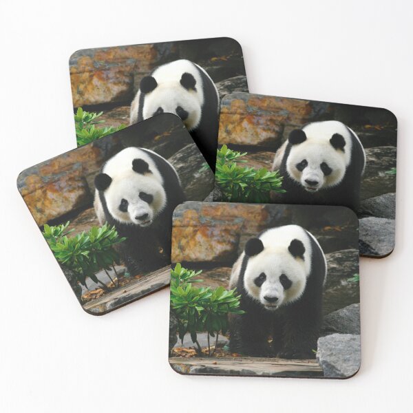 Item preview, Giant Panda designed and sold by jwwallace.