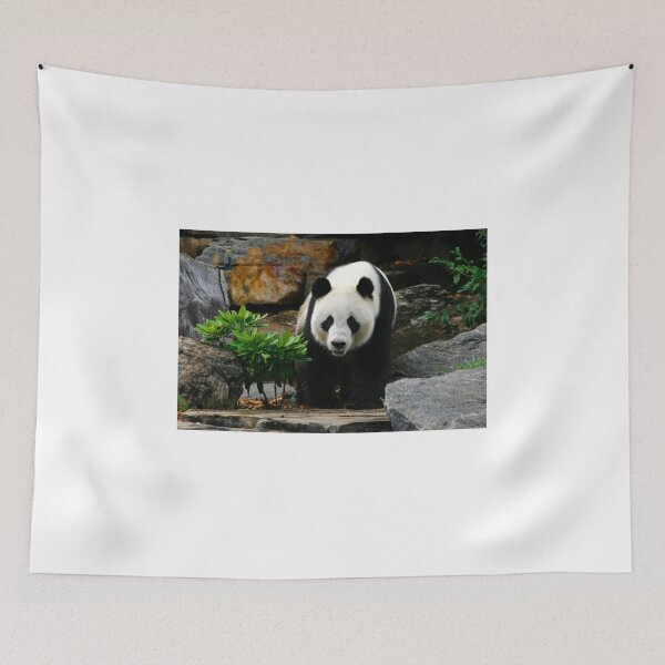 Item preview, Giant Panda designed and sold by jwwallace.