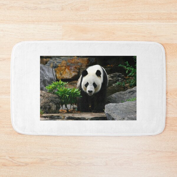 Item preview, Giant Panda designed and sold by jwwallace.
