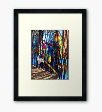 Art graffity at the island of the River Cuale Framed Print