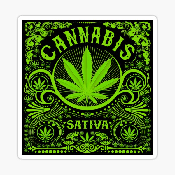 Experimento Cannabis Sativa # 72 Pegatina
