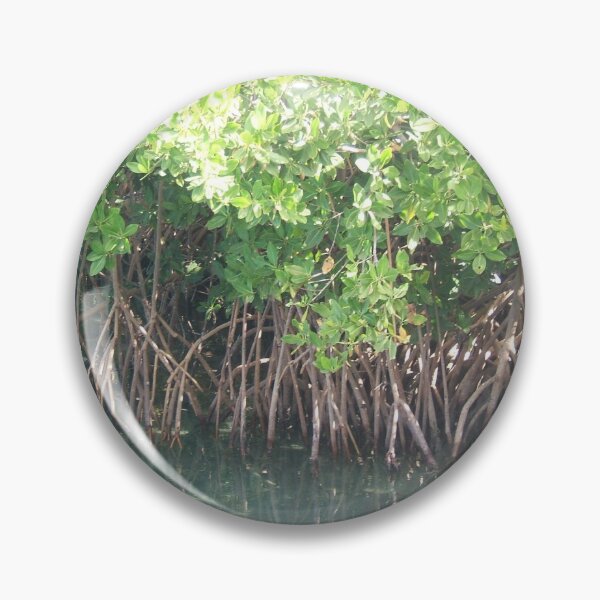 Item preview, Florida Mangroves designed and sold by rosiebrown.