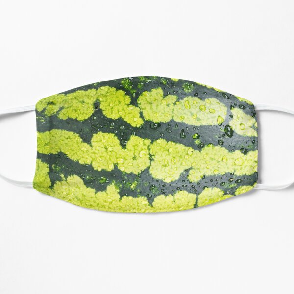 Funny Watermelon Mask