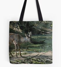 Roe deer Tote Bag