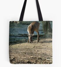 Roe deer Tote Bag