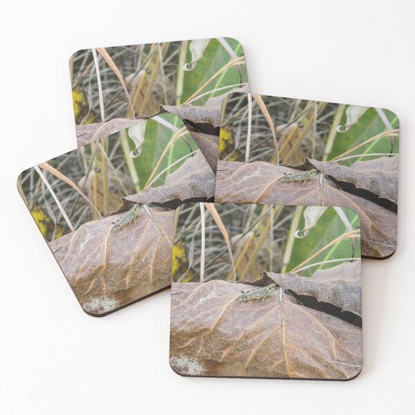 Item preview, Resting designed and sold by circa24.