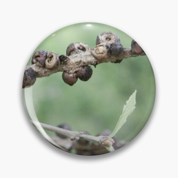 Item preview, Oak Gall Wasps designed and sold by circa24.