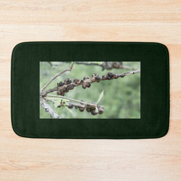 Item preview, Oak Gall Wasps designed and sold by circa24.