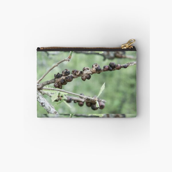 Item preview, Oak Gall Wasps designed and sold by circa24.