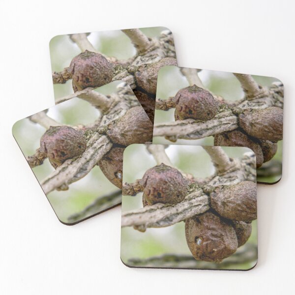 Item preview, Wasp Gall: Old Enough to Leave Home designed and sold by circa24.